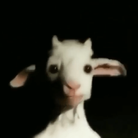 Lag Game Studio Github - Landscape Textures - Professional High Resolution Collection