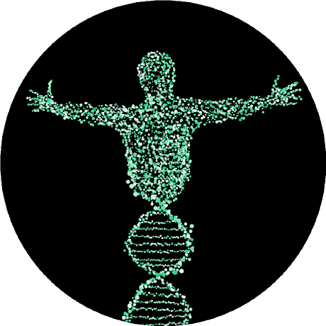 Github Z8go Romp - Best Landscape Backgrounds in Desktop