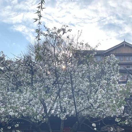 Shonen Kele Ke Github - Best Vintage Pictures in Retina