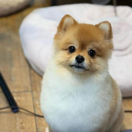 Github Muheun Util - Premium Vintage Pattern Gallery - Full HD