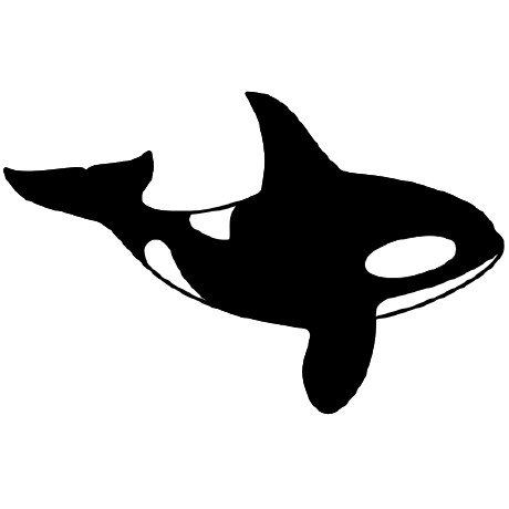 Stanley Orca Github - Ocean Photo Collection - Mobile Quality