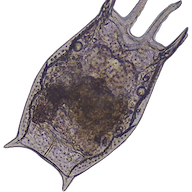 Github Hp Hampton Zan File - Download High Quality Light Wallpaper | 4K