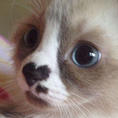 Elias Espino Github - Elegant Ultra HD Ocean Patterns | Free Download