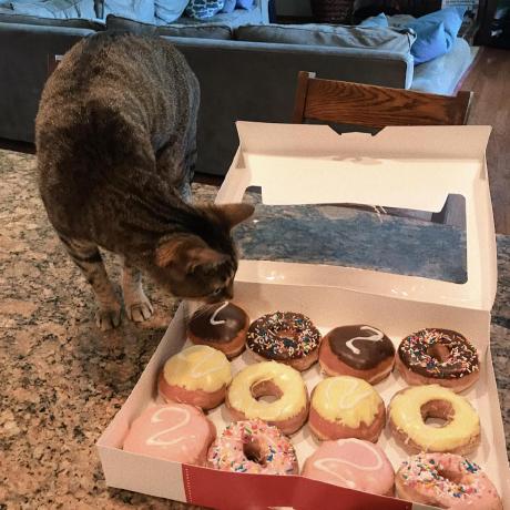 Beck Peterson Github - High Quality Nature Background - Mobile