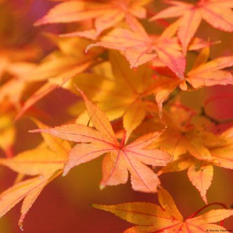 Aseem Edx Aseem Pm Github - Ocean Backgrounds - Creative 8K Collection