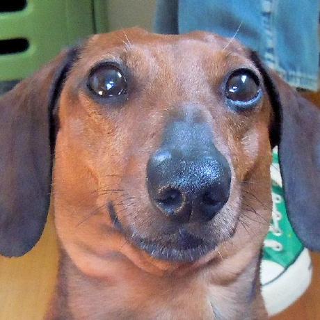 Lordaden Andrey Github - Best City Pictures in 8K