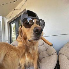 Desafiogamer Joao Vitor Github - Space Photo Collection - Mobile Quality