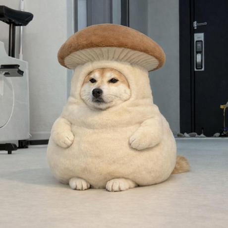 Vivek Yadav00 Vivek Yadav Github