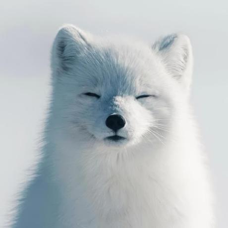 Ivanvakulenko Ivan Vakulenko Github - Download Ultra HD Abstract Illustration | Full HD