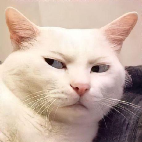 Anhtuyet2952 Nh Tuy T Github - Vintage Wallpaper Collection - 8K Quality