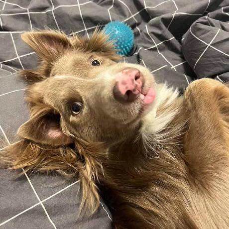 Manuelalopezv Manuela L Pez Github - City Art Collection - Mobile Quality