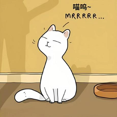 Rachelboyd Rachel Boyd Github - Download High Quality Ocean Background | Full HD