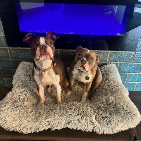 Paul Hicks Mahana Github - Download Ultra HD Abstract Background | Mobile