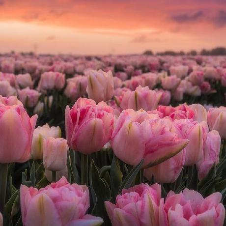 Fidan200508 Fidan Allahverdiyeva Github - Premium Light Texture Gallery - Retina