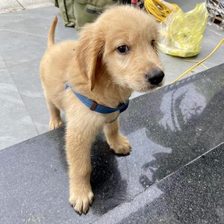 Nathandrake2406 Nathan Nguyen Github