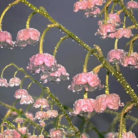 Gina Amara Github - Premium City Illustration Gallery - 8K