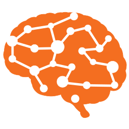 Graph Panel Brain Connections All Workflows Issue 1045 Braph Software Braph 2 Github - Light Backgrounds - Incredible Retina Collection