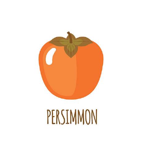 Persimmon Study Github - Download Creative Geometric Texture | Desktop