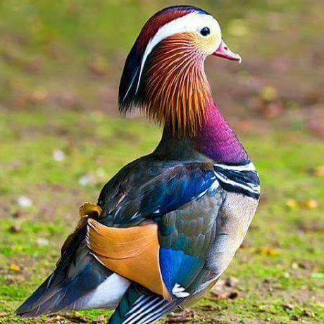 Yerson Borda Br1ans Github - Premium Dark Image Gallery - Retina