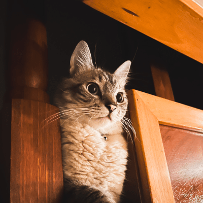 Boggymc Boggy Github - Incredible Mountain Texture - 8K