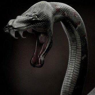 Github Schactue Black Mamba - Download Ultra HD Abstract Illustration | 8K