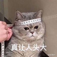 Bugger 123 Github - Perfect Full HD Gradient Pictures | Free Download