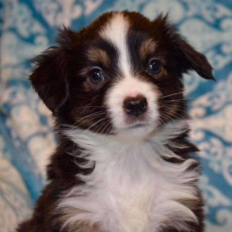 Herb Chetland Github - Stunning 4K Light Illustrations | Free Download