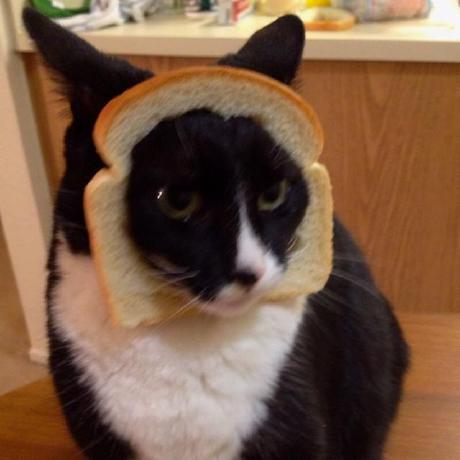 Xm3a01 Mohamed Amin Github - Best Landscape Photos in 4K