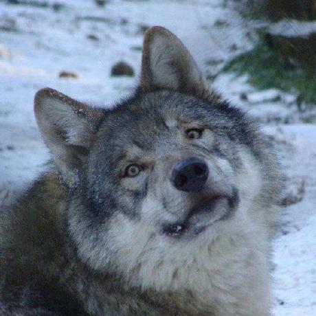 Edbalzan Eduardo Balzan Github - Space Design Collection - Ultra HD Quality