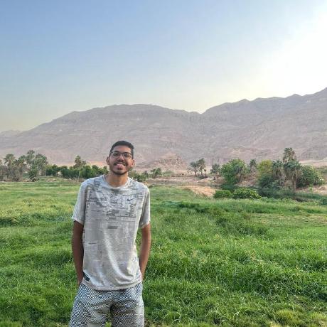 Ahmedfarrag1 Farag Github - Retina Landscape Illustrations for Desktop