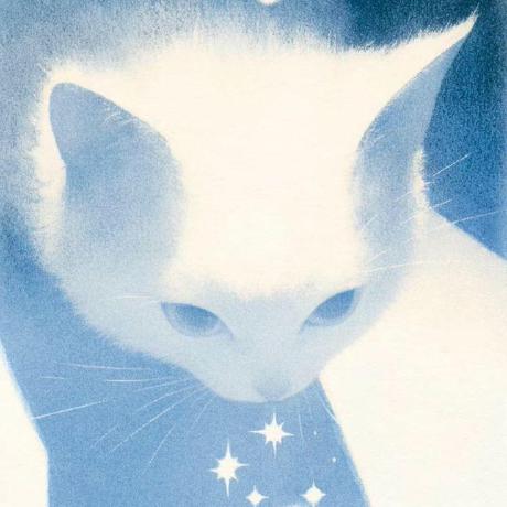 Y Linh Github - High Resolution Colorful Photos for Desktop