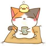 Php8 4 Support Issue 1130 Catfan Medoo Github - Geometric Backgrounds - Modern Retina Collection