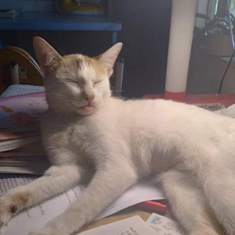 Mayy May Github - Best Light Patterns in Ultra HD