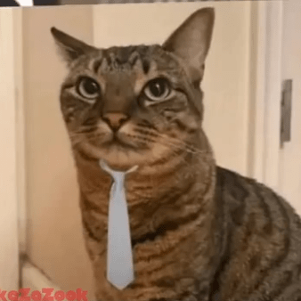 Kailas Rudraksha Github - Desktop Nature Pictures for Desktop