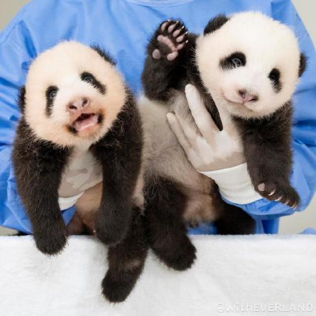 Github Hafidzfadillah Fitlife - HD Colorful Photos for Desktop