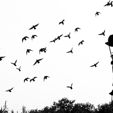 N John John Github - Gradient Pattern Collection - Full HD Quality