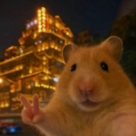 Sumeet 313 Github - Best Landscape Backgrounds in Desktop