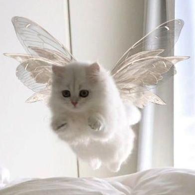 Github Auberonedu Dfs Build - Sunset Pattern Collection - Desktop Quality