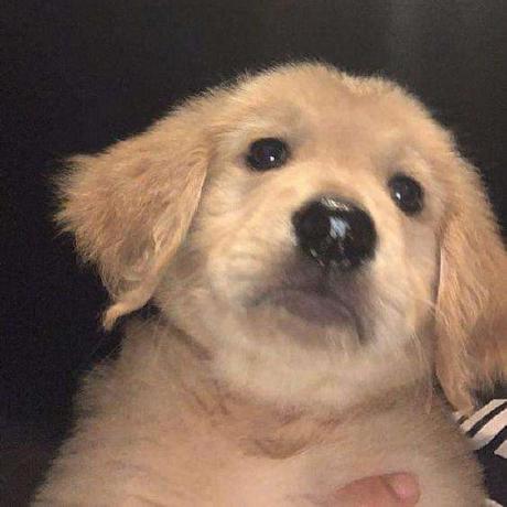 Github Maxinelevirof Workspace - 8K Gradient Images for Desktop