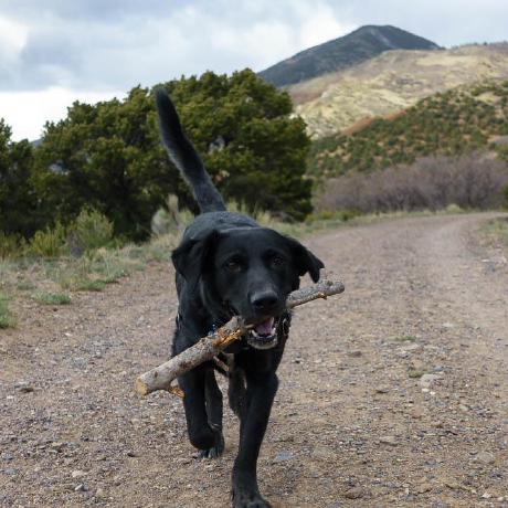 Jackhstoops Jack Stoops Github - Space Designs - High Quality Desktop Collection