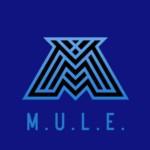 Manali Mule Github - 4K Minimal Photos for Desktop