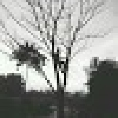 Github Liadrinz Six Nimmt Server - Best Nature Wallpapers in Full HD