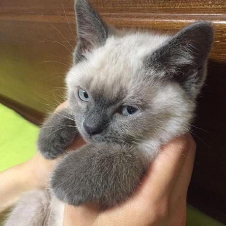 Zing Github - Premium Light Texture Gallery - High Resolution