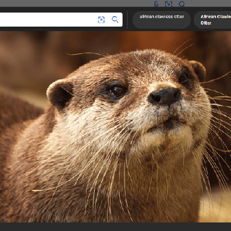 Int128 Hidetake Iwata Github - Minimal Patterns - Gorgeous Retina Collection