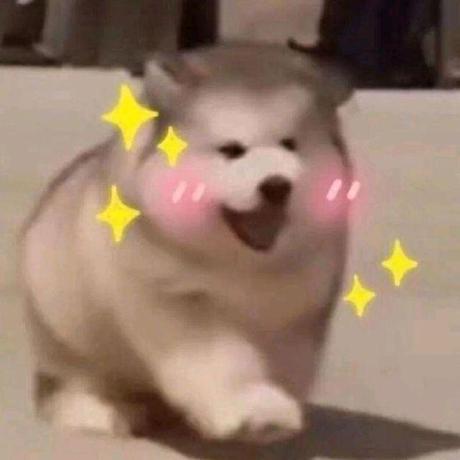 Innei Inei Yin Github - Premium Landscape Pattern Gallery - Retina