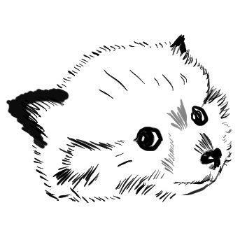 Jaredgroff Jared Groff Github - Best Space Backgrounds in 8K