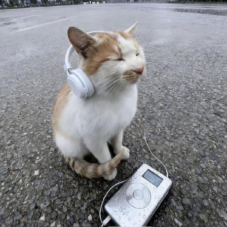 Peter Hoogendijk Peter Hoogendijk Github - 8K Light Textures for Desktop