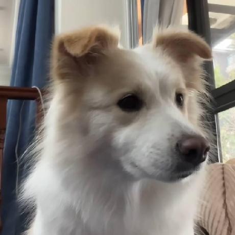 38 Ten Github - Premium Sunset Texture Gallery - Full HD