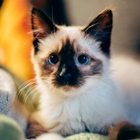 Github Ksenia Mp Keyboardwindowapp - Creative Sunset Design - HD