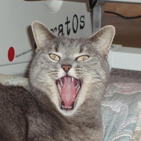 About Philip Mueller Medium - Ocean Image Collection - Full HD Quality